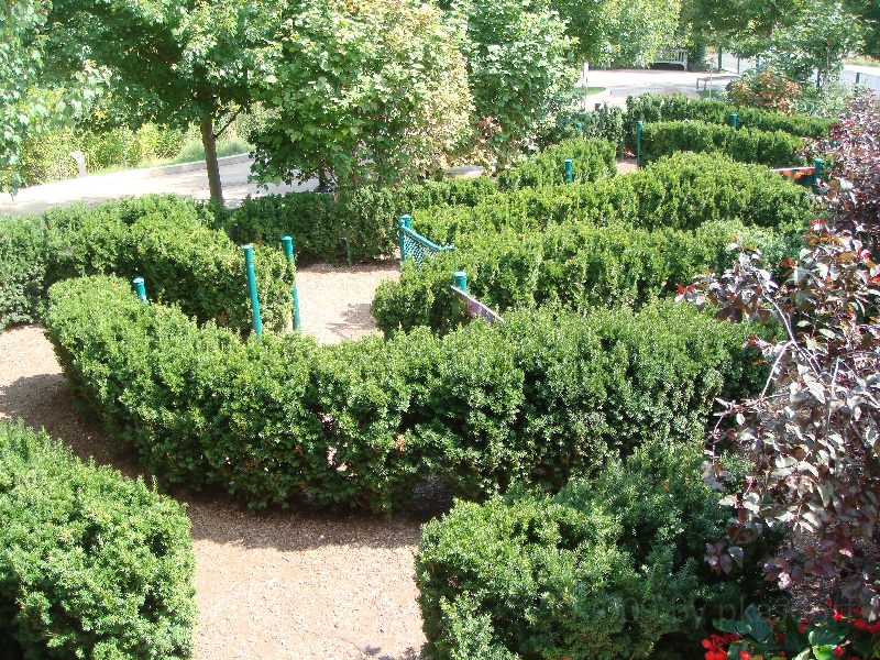 Western Michigan [2009] 457.JPG - Scenes from Frederik Meijer Gardens & Sculpture Park.